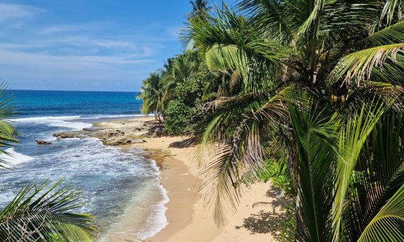 Kostarika in Panama - 12250.JPG