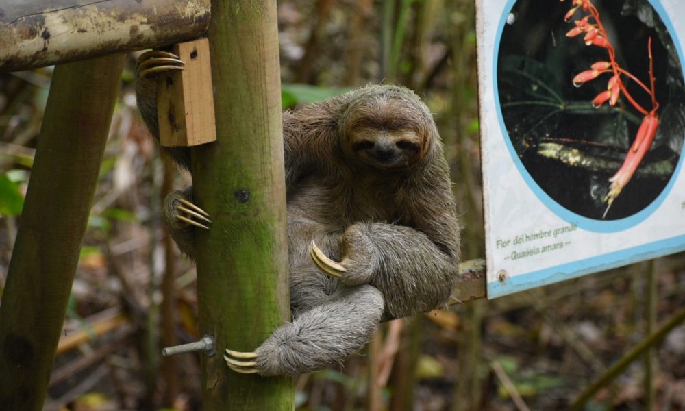 Kostarika in Panama - 12253.JPG