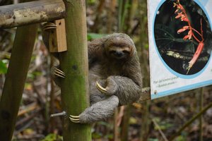 Kostarika in Panama - 12253.JPG