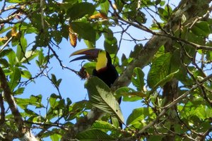 Kostarika in Panama - 12256.JPG