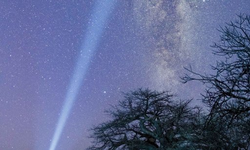 Bocvana, udobna safari avantura - 12285.jpg