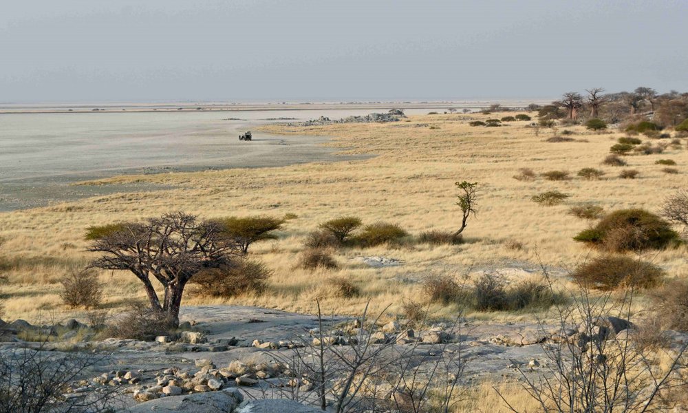 Bocvana, udobna safari avantura - 12290.jpg