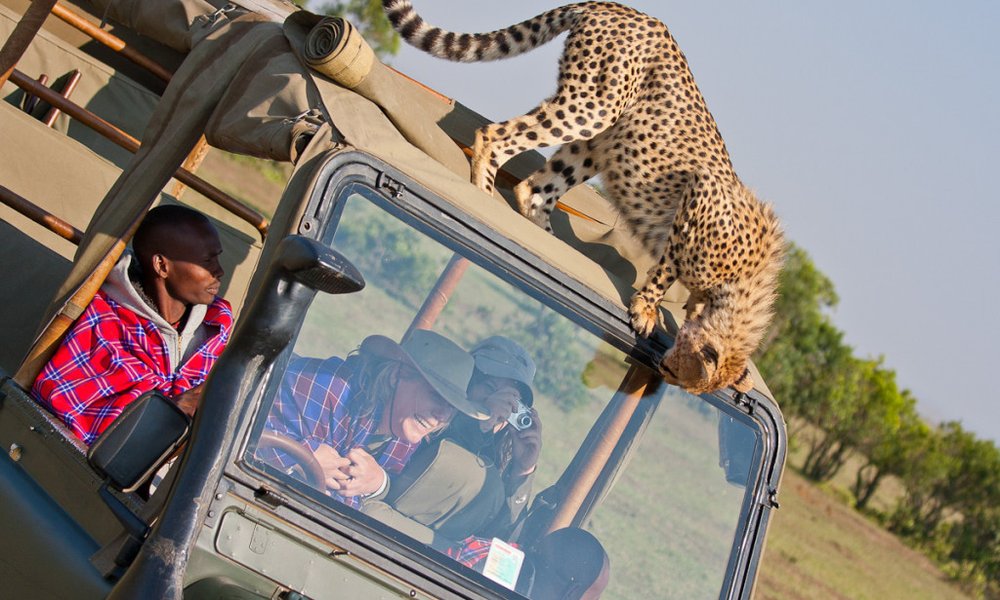 Tanzanija za družine: safari in Zanzibar - 12299.jpg