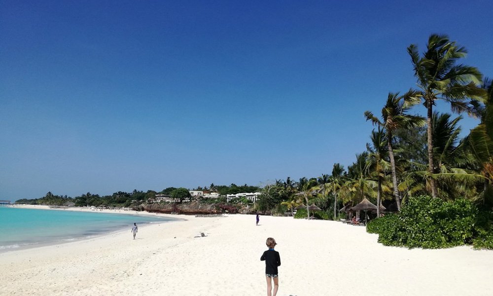 Tanzanija za družine: safari in Zanzibar - 12302.jpg
