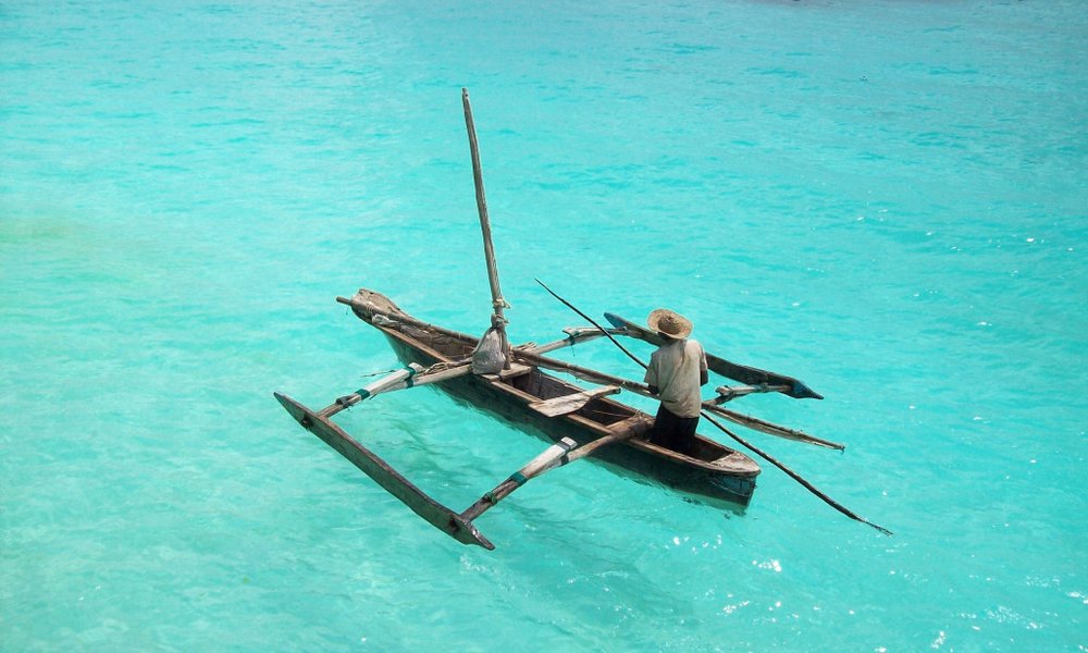 Tanzanija za družine: safari in Zanzibar - 12323.jpg