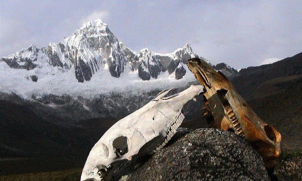 Pogled na gore Cordillere Blance