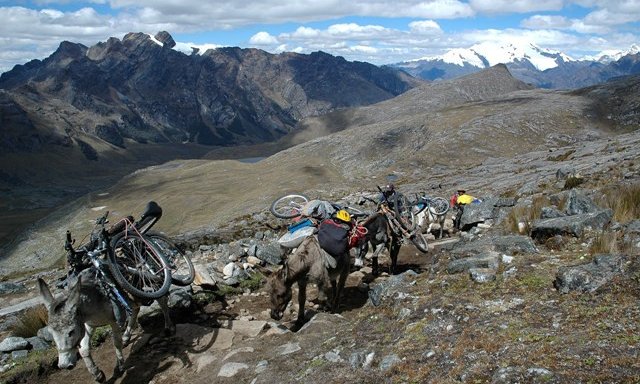 Gor nam pomagajo kombiji, na trekingu pa osli