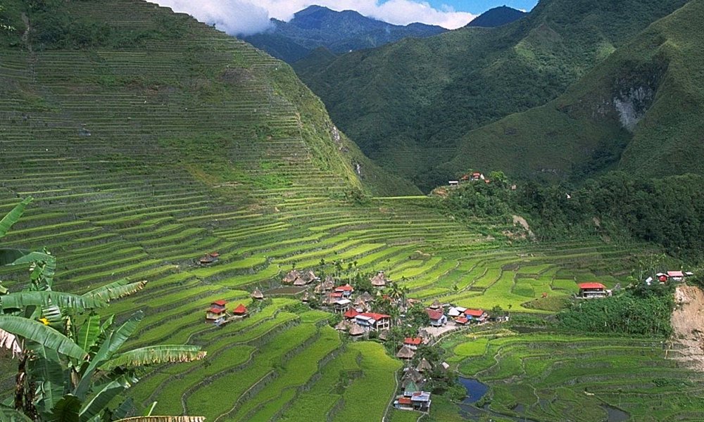 Riževa polja okoli Banaueja, Batad