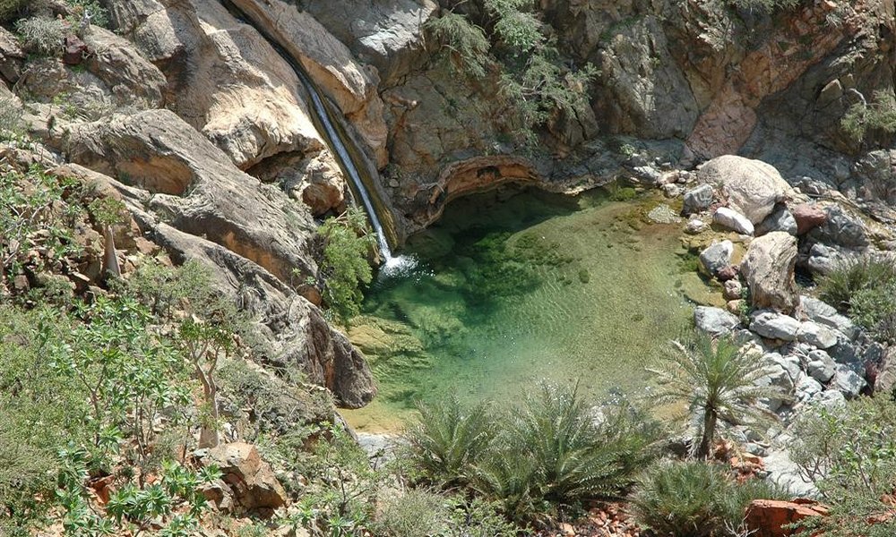 ShaPPin tolmun na Sokotri