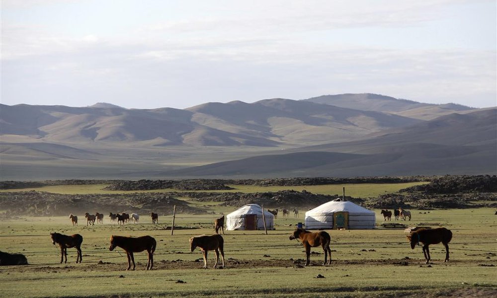 Tipična scena: travniki, geri (nomadski šotori) in živina