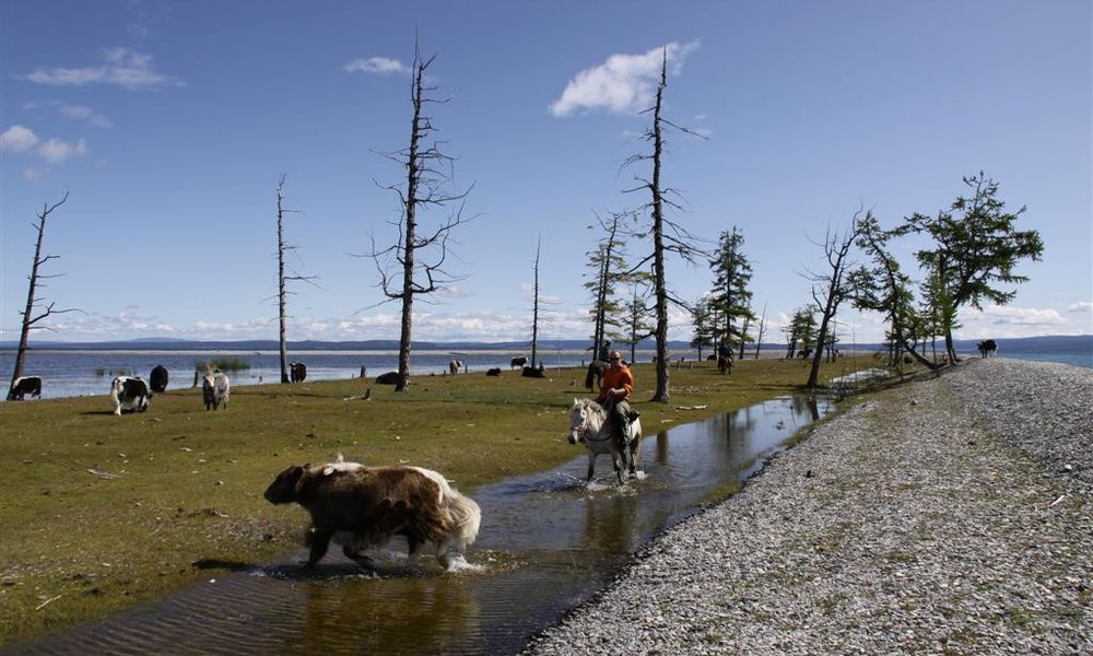 Sem in tja na severu Mongolije nabašemo na kake jake
