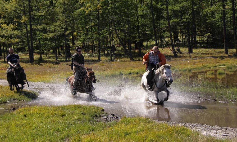 ShaPPci v galopu - za to poskrbi ad hoc šola jahanja
