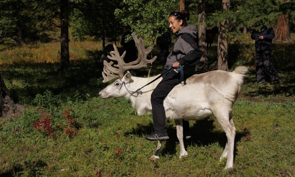 Obisk pri ljudstvu Tsataanov postreže z jahanjem severnih jelenov