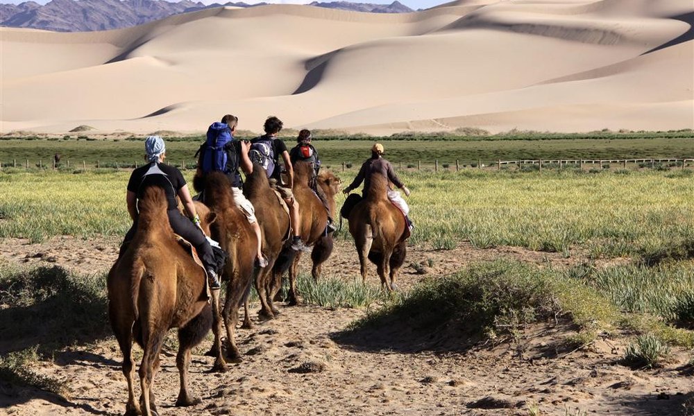 Kamelji safari v puščavi Gobi