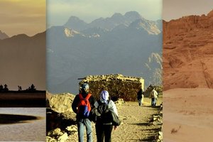 148277777_10157748618872761_7272308815035948615_n