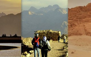 148277777_10157748618872761_7272308815035948615_n