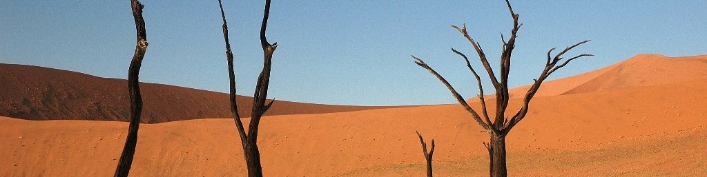 Namibija, Bocvana in Zimbabve, z jeepi