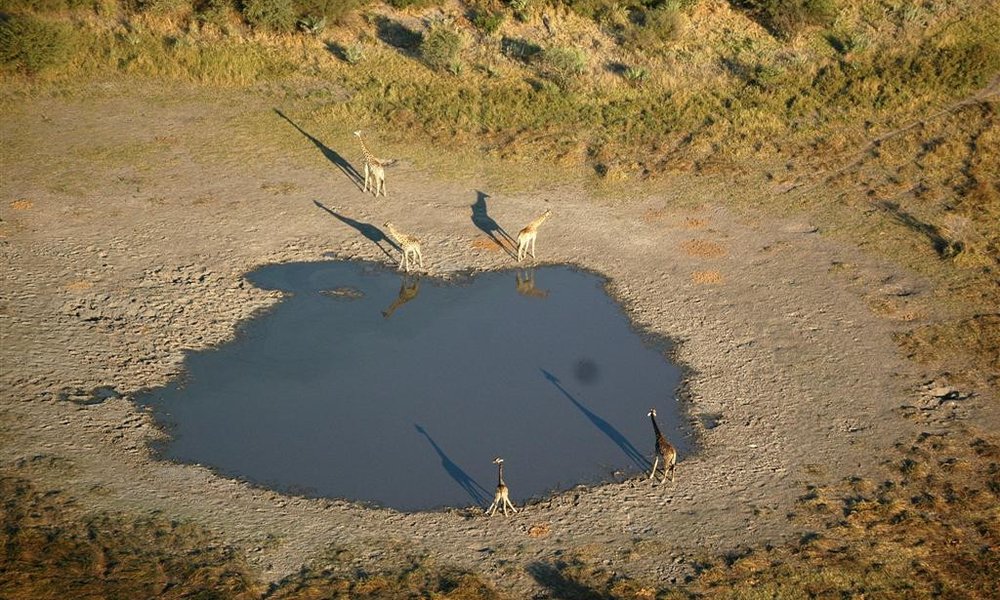 Safari nad delto reke Okavango, Bocvana