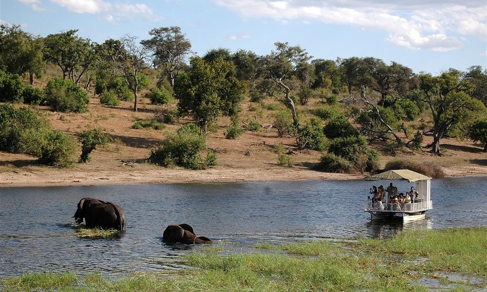 Safari po reki Chobe, Bocvana