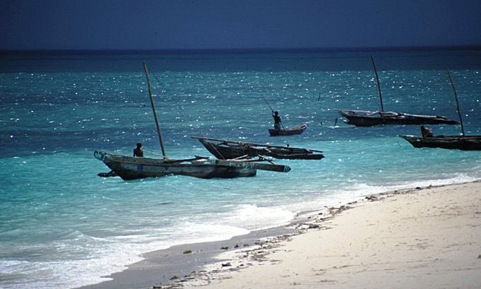 Dhowi (jadrnice) na severu Zanzibarja