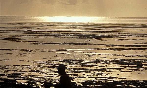 Kič ob sončnem zahodu