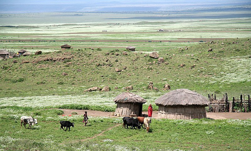 Vasi Masajev na poti