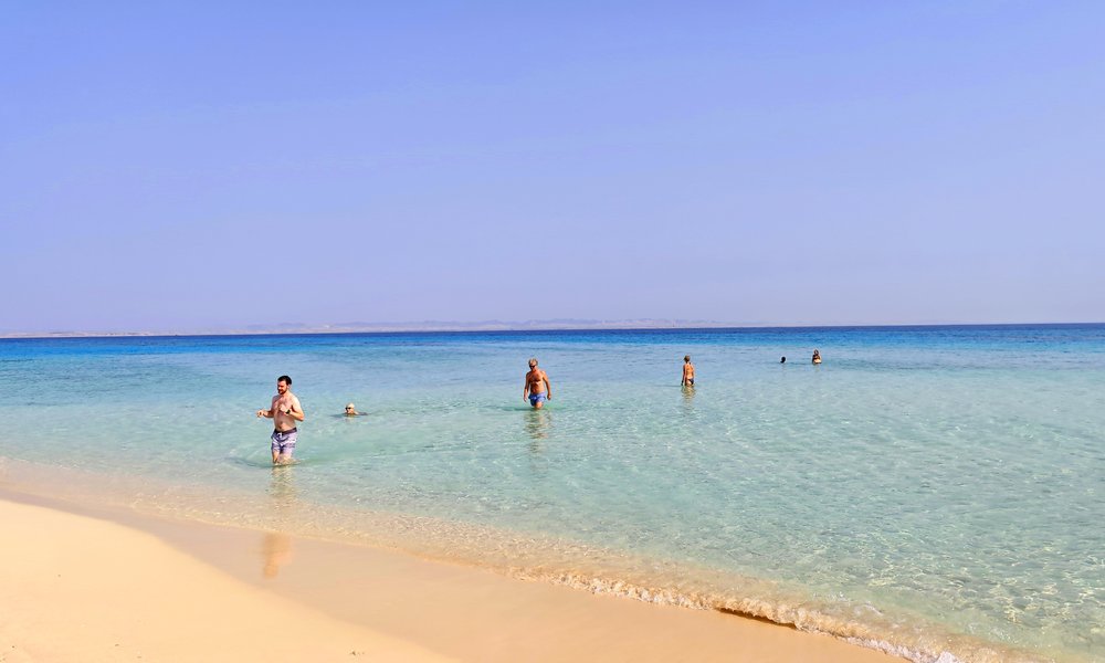 1764423247198 savdska