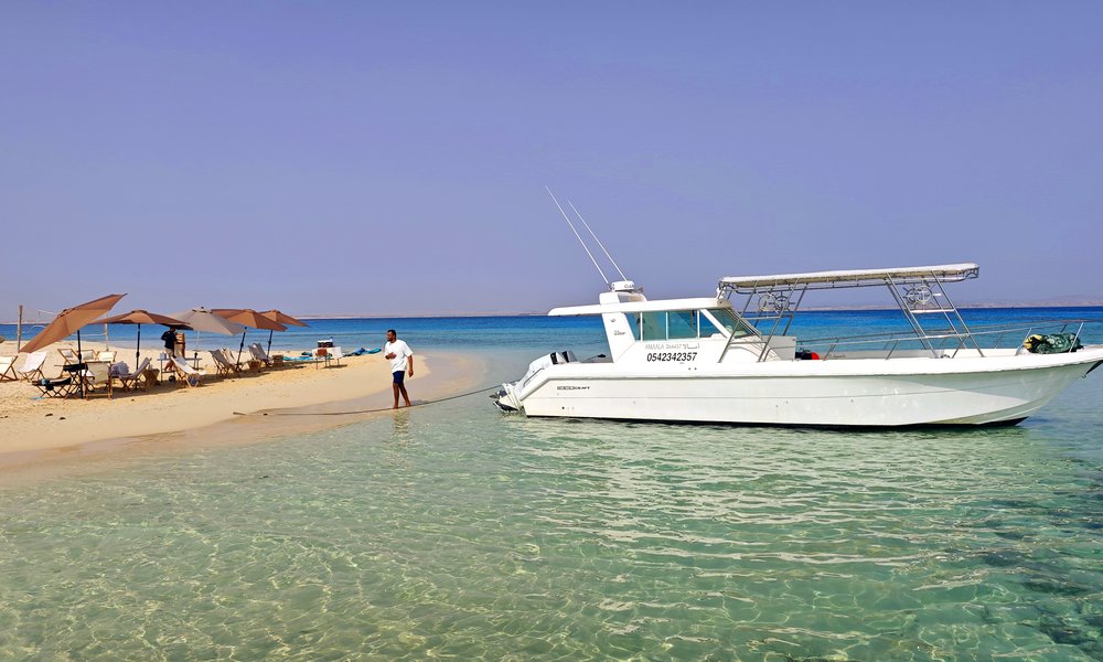 1764423258485 savdska