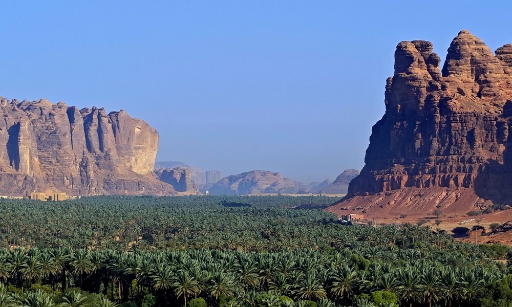 1764598656516 savdska