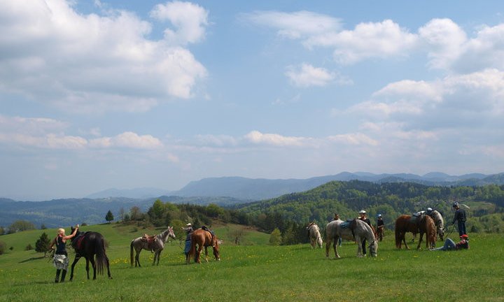 Pavza... in konji so že na paši