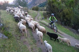 Peru, Bolivija in Čile, s kolesa, peš in z jeepi - 1826.jpg