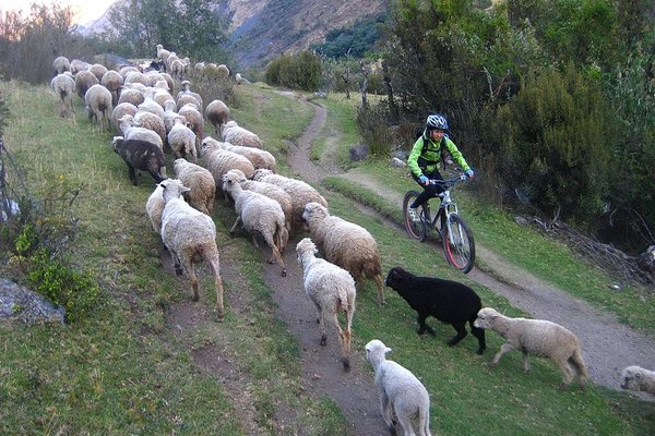 Peru, Bolivija in Čile, s kolesa, peš in z jeepi - 1826.jpg