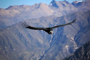 Peru, Bolivija in Čile, s kolesa, peš in z jeepi - 1831.jpg