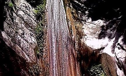 185373921_10161170936542942_7205407641887471200_n