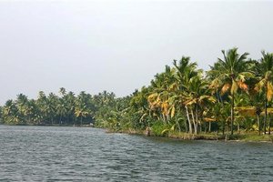 Indija - sej ne morš verjet! - 1891.jpg