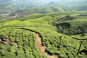 Indija - sej ne morš verjet! - 1892.jpg