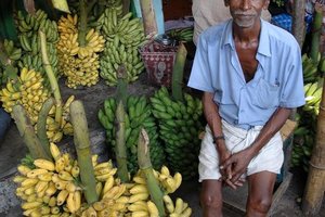 Indija - sej ne morš verjet! - 1905.jpg