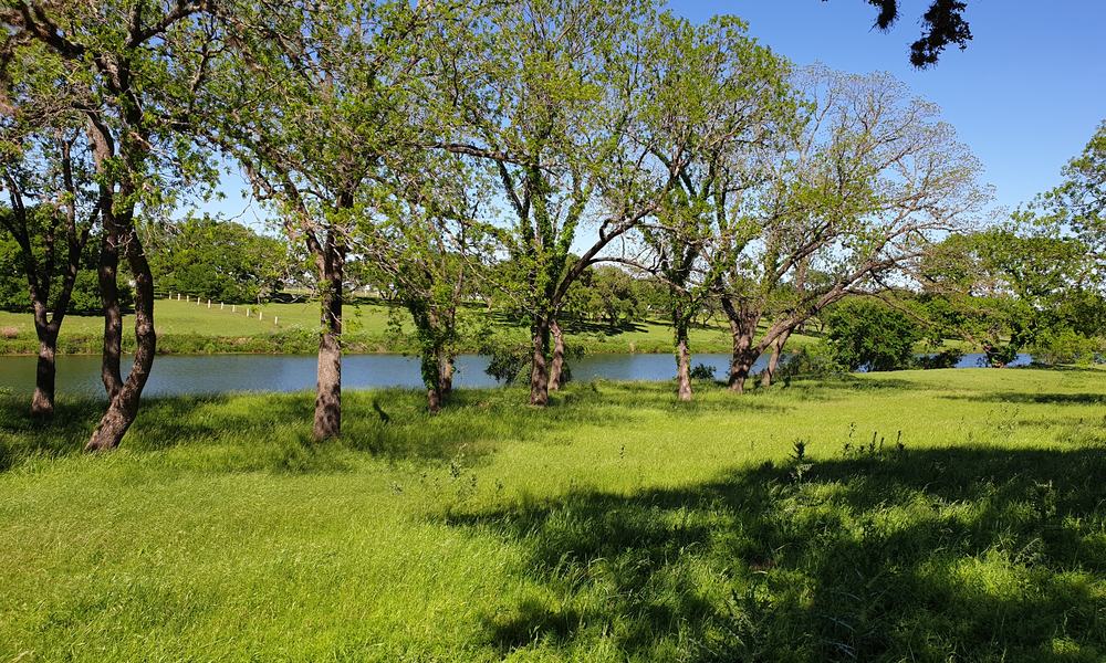 hill country