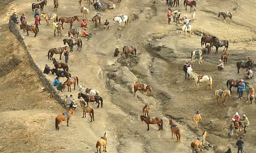 Čakajoči na turiste, za konjski prevoz do vulkana Bromo
