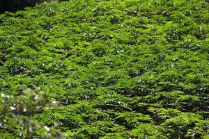 Maroko in Mongolija - 2110.jpg