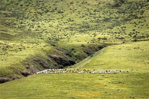 Maroko in Mongolija - 2127.jpg