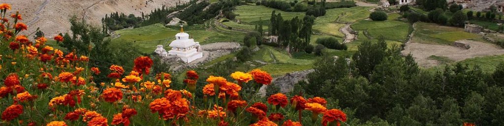 Indija: Ladak, Kašmir in Zlati tempelj
