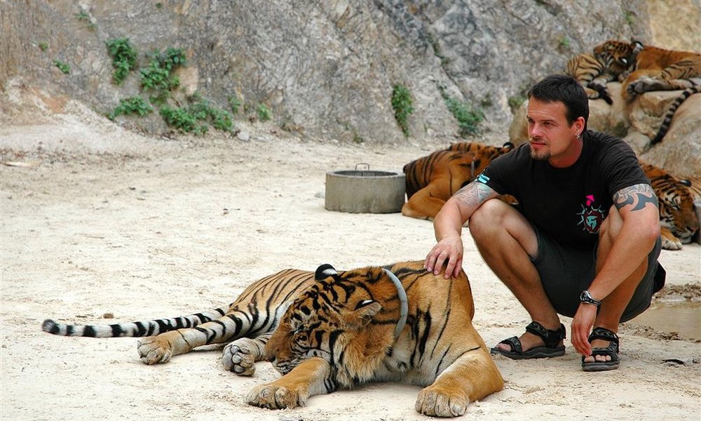 V znamenitem Svetišču tigrov