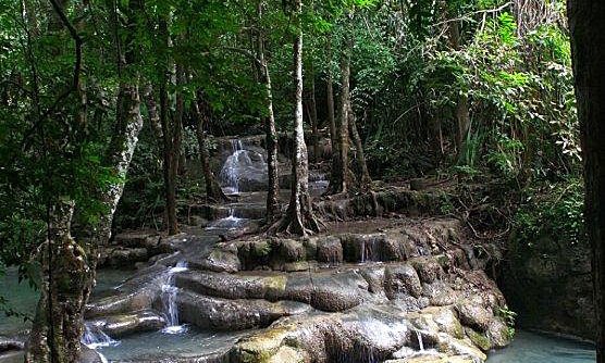 Tolmuni v gozdu, Erawan