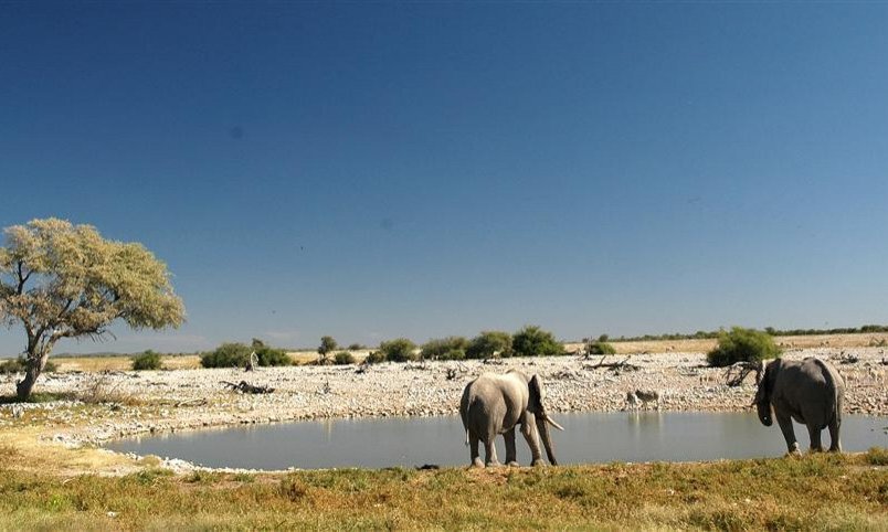 Vodna napajališča parka Etosha