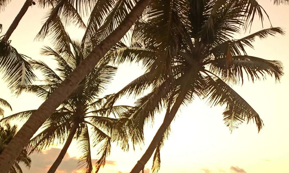 287e3eae-edea-4767-92e1-f54da8ba3018