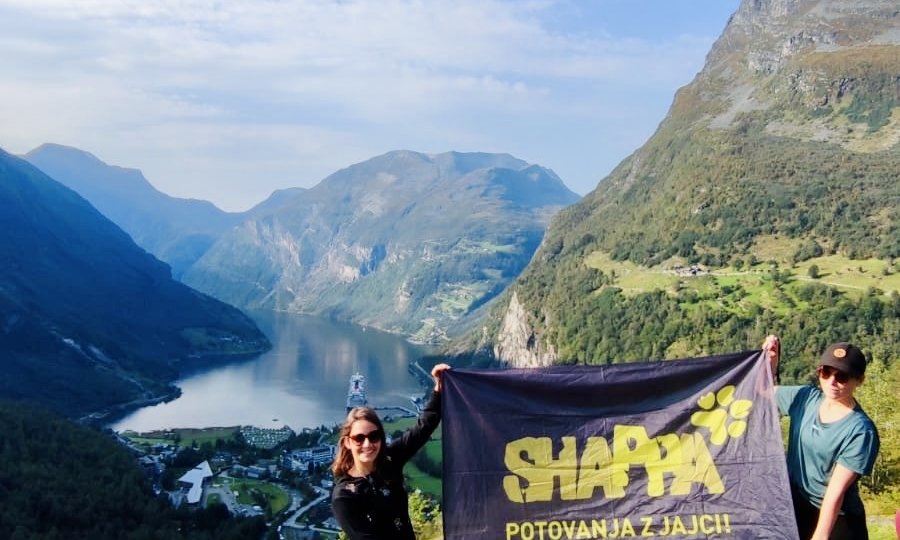 28c8ff19-4ebb-47ba-a66e-fa18b16bf88e