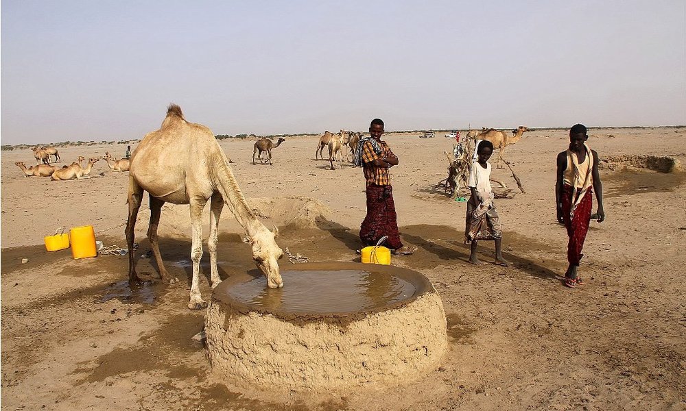 Pleme Afar in kamele nas pozdravijo v Danakilu