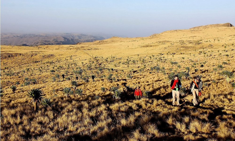 Treking po najlepšem afriškem gorovju Simien