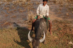 V osrčju Indokine - 3036.jpg